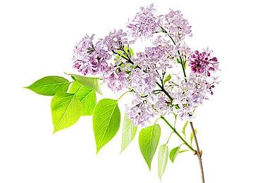 《对马岛之鬼》影响力颇大 发售多年后仍被多个游戏参考